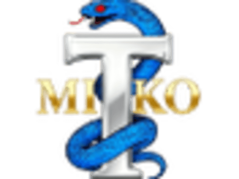 Imagen de MIKO INKU TATUAJES
